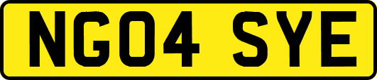 NG04SYE