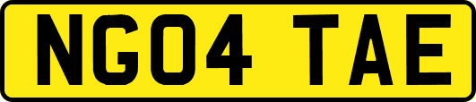 NG04TAE
