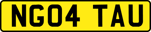 NG04TAU