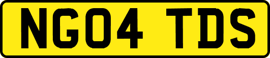 NG04TDS