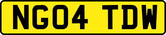 NG04TDW