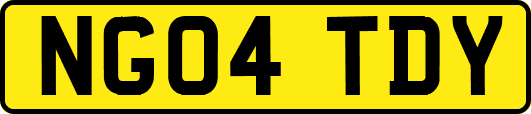 NG04TDY