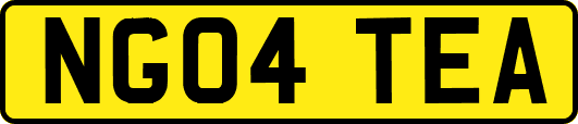 NG04TEA