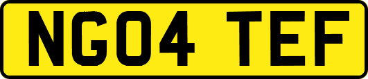 NG04TEF