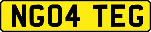NG04TEG