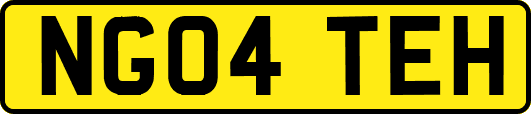 NG04TEH