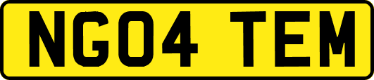 NG04TEM
