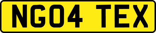 NG04TEX