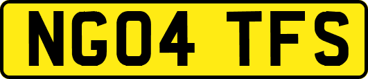 NG04TFS