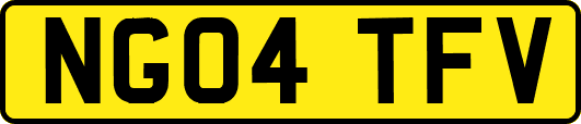 NG04TFV