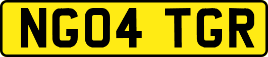 NG04TGR