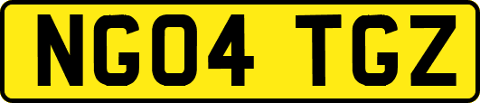 NG04TGZ