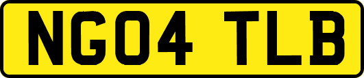 NG04TLB