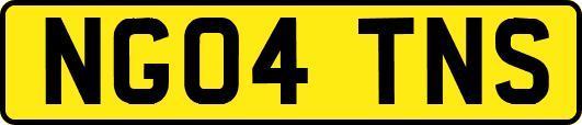 NG04TNS