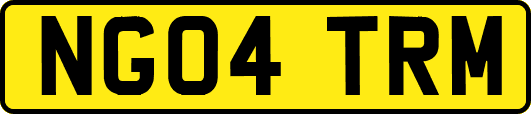 NG04TRM