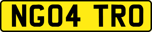 NG04TRO