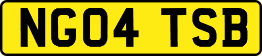 NG04TSB
