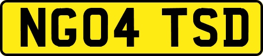 NG04TSD