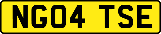 NG04TSE
