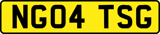 NG04TSG