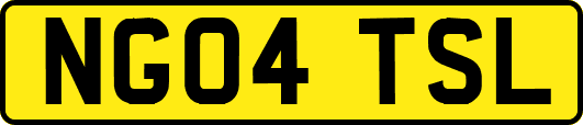 NG04TSL