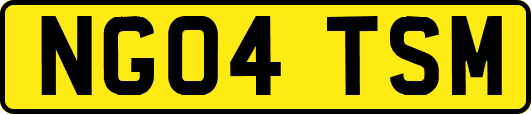 NG04TSM