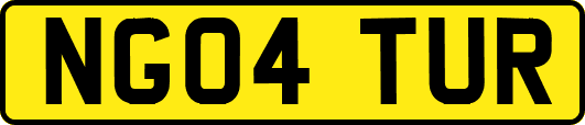 NG04TUR
