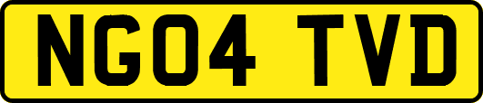 NG04TVD