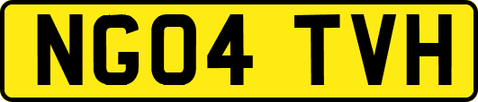 NG04TVH