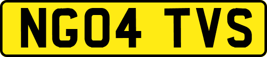 NG04TVS
