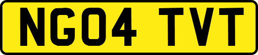 NG04TVT