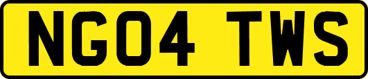 NG04TWS