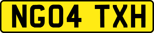 NG04TXH
