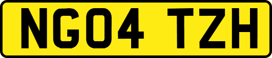 NG04TZH