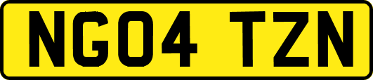 NG04TZN