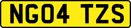 NG04TZS