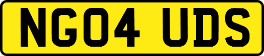NG04UDS
