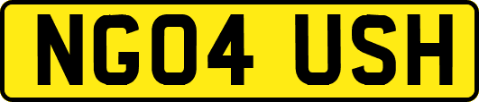 NG04USH