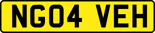 NG04VEH