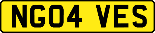NG04VES