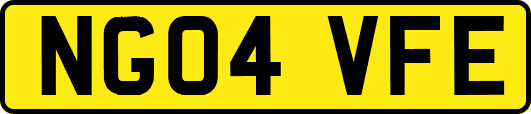 NG04VFE