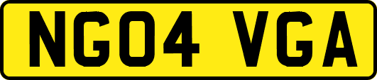 NG04VGA