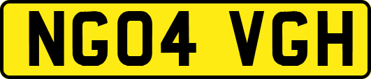 NG04VGH