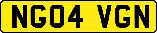 NG04VGN