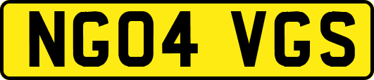NG04VGS