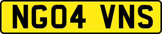 NG04VNS