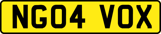 NG04VOX