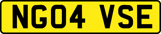 NG04VSE
