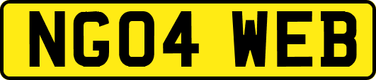 NG04WEB