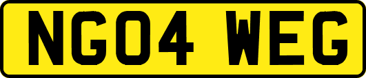 NG04WEG